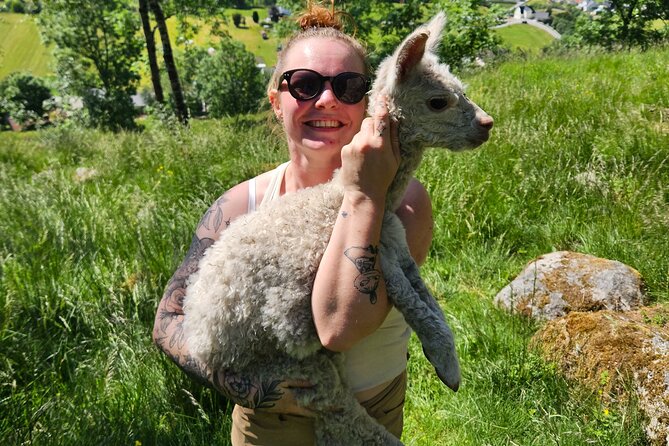 Steim Farm Experience in Vik, Norway - What the $30.31 price gets you