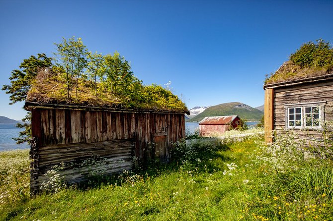 Summer Fjord Road Trip with Citizen Science with Wandering Owl - The drive across Whale Island