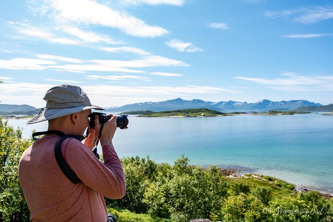 Summer Fjord Road Trip with Citizen Science with Wandering Owl - A homemade picnic near the Arctic shore