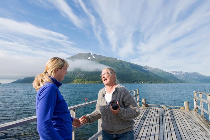 Summer Fjord Road Trip with Citizen Science with Wandering Owl - Ersfjord and Grøtfjord: the main scenic stops