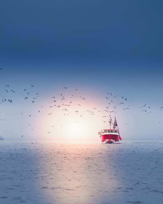 Svolvær and Henningsvær Sightseeing and History Tour - Who should book this half-day tour?