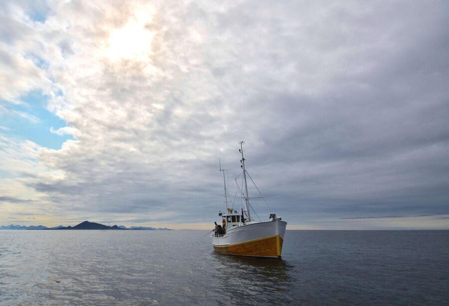 Svolvær: Fishing Trip on the Lofoten Sea - Key things to know before you book