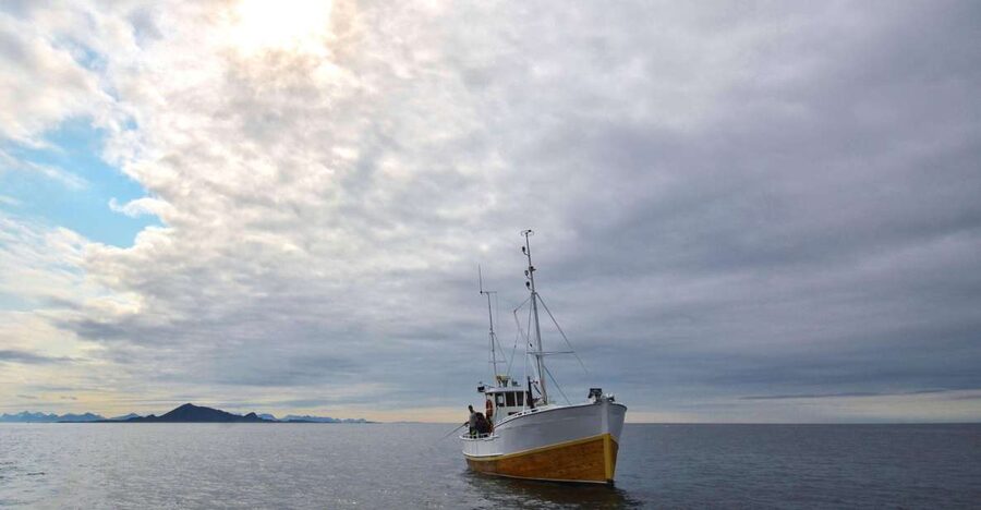 Svolvær: Fishing Trip on the Lofoten Sea - What a successful catch can mean for dinner