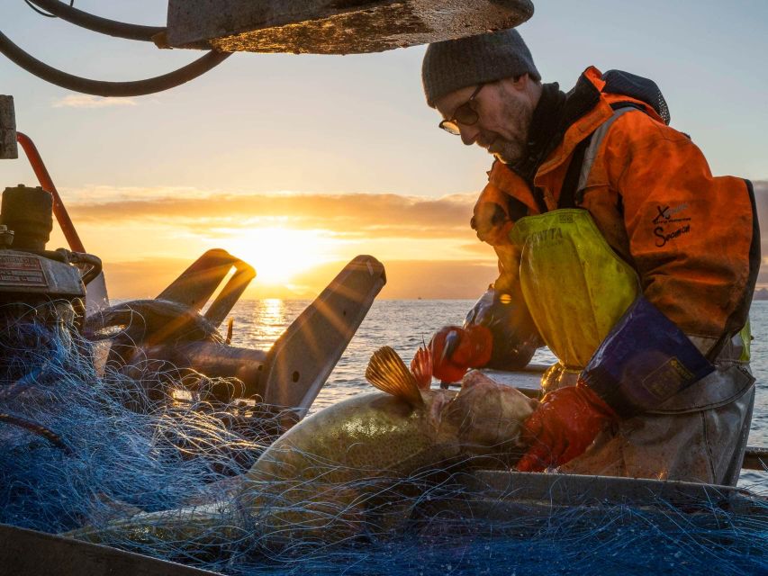 Svolvær: Fishing Trip on the Lofoten Sea - The value of $107 per person