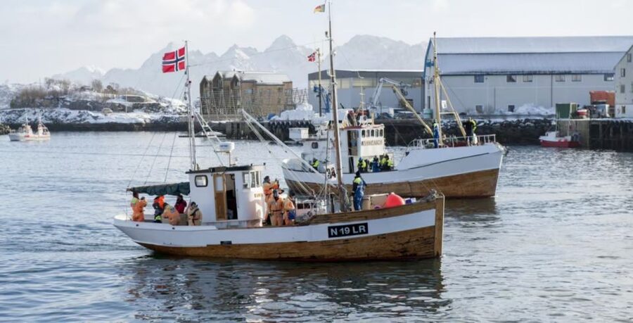 Svolvær: Fishing Trip on the Lofoten Sea - Learning to fish, even if you have never tried