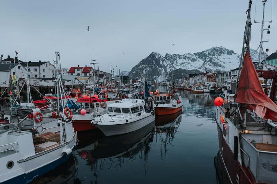 Svolvær: Lofoten Scenic Sightseeing Tour: Half day tour - Gimsøya brings wide views and open Arctic scenery