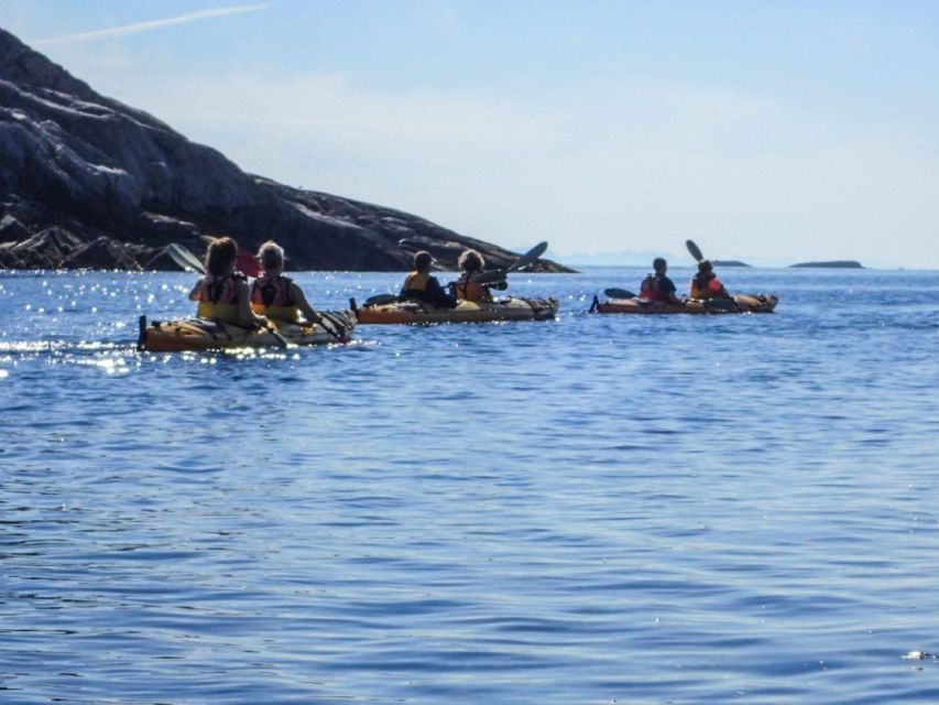 Svolvaer: Sea Kayaking Experience - Watching for White-Tailed Sea Eagles
