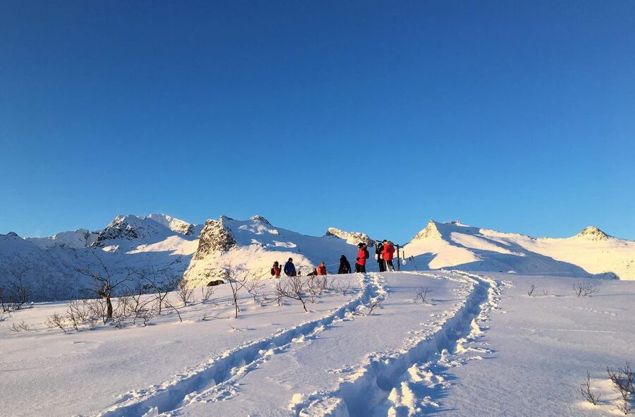 Svolvær: Snowshoe Nature Explorer - From Svolvær harbour to the trailhead