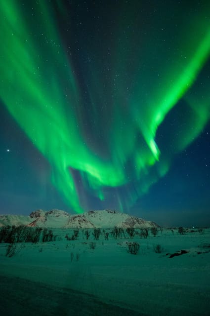 Svolvær: Ultimate Aurora Hunt - Photography help for beginners and keen amateurs