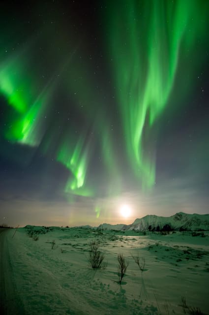 Svolvær: Ultimate Aurora Hunt - The guides make the difference