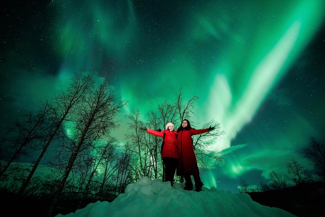 Symphony - Arctic Breeze, teamining up with nature. - Is $188.03 a fair price?