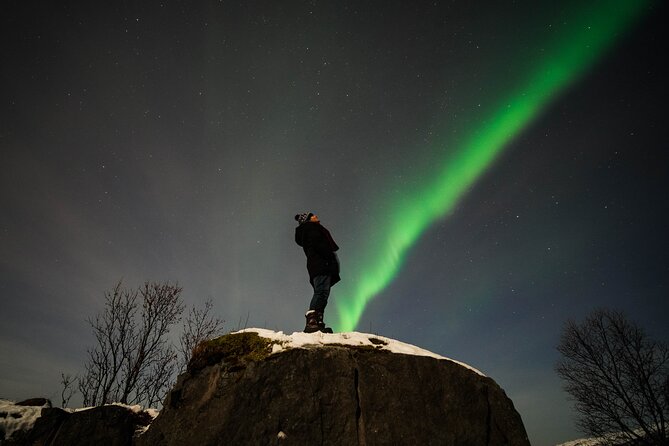 Symphony - Arctic Breeze, teamining up with nature. - What the panoramic windows really mean
