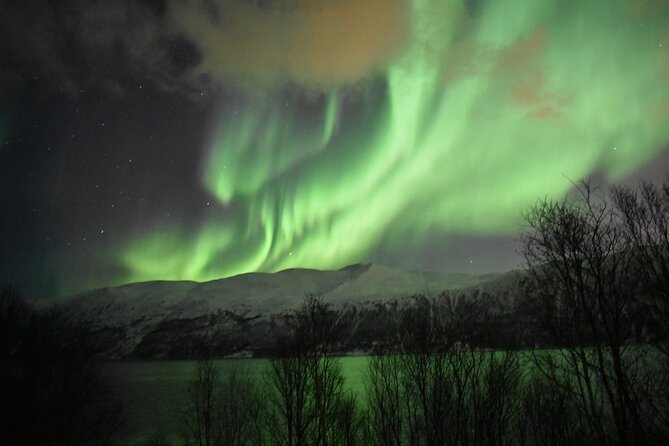 The Aurora Tour - small group, northern lights - Photography help and the promised pictures