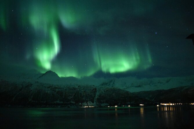 The Aurora Tour - VIP trip for northern lights, aurora borealis - Chasing the aurora around Tromsø
