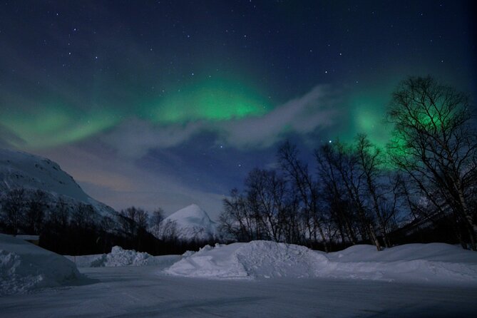 The Aurora Tour - VIP trip for northern lights, aurora borealis - A private group changes the value