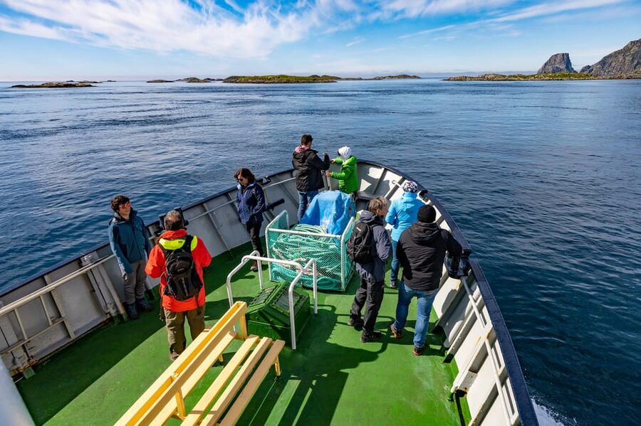 The Bird Safari Tour - White-tailed eagles and seals add surprise sightings
