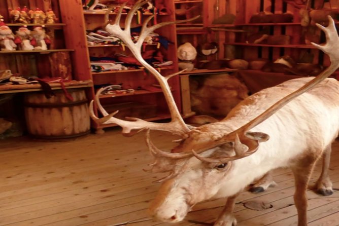 The North Cape, Reindeer and Sami Families Tour - Booking and Cancellation Details