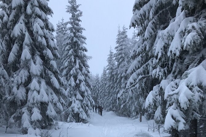 The Ultimate Norwegian Skiing Experience - The equipment is a real part of the value