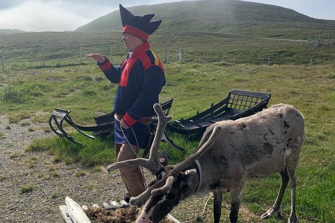 The VIP North Cape Tour - Key points to know before booking