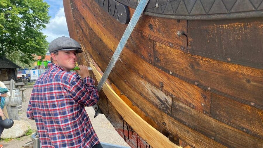 Tønsberg: Walk with a Viking - Guided Tour - Who should book this Tønsberg walk?