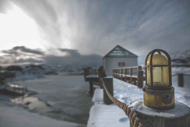 Tour of the authentic fjords of Kvaløya - Who will enjoy this Kvaløya fjord tour?