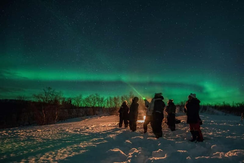Tromsø: Adult Only Aurora hunt with Citizen Science - Key points to know before booking