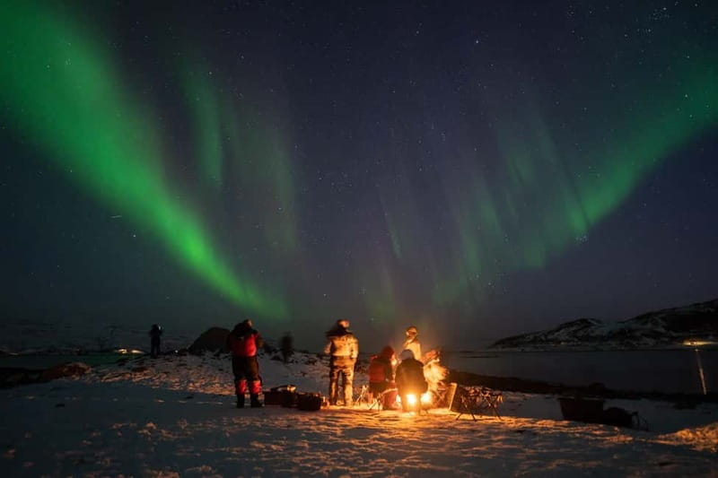 Tromsø: Adult Only Aurora hunt with Citizen Science - Thermal suits, boots, and the reality of Arctic cold