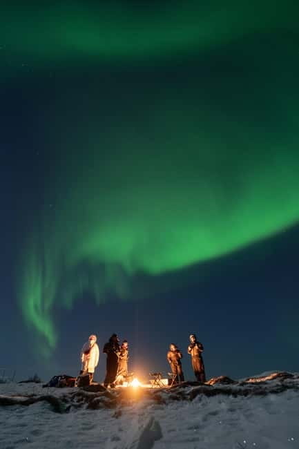 Tromsø: Adult Only Aurora hunt with Citizen Science - Learning to photograph the Northern Lights
