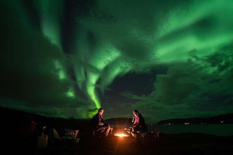 Tromsø: Adult Only Aurora hunt with Citizen Science - Why the group size changes the evening