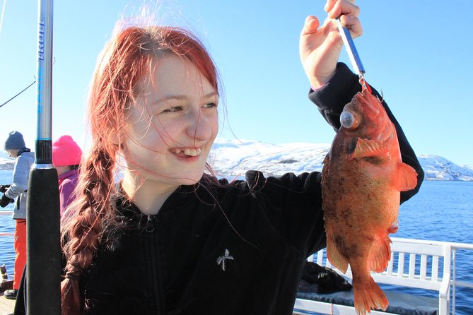 Tromsø: Arctic Fjord Cruise & Fishing Experience - A five-hour outing from Tromsø’s Northern LightsFront Pier