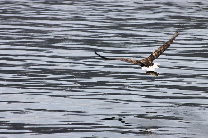 Tromsø: Arctic Fjord Cruise & Fishing Experience - Thermal suits and weather comfort