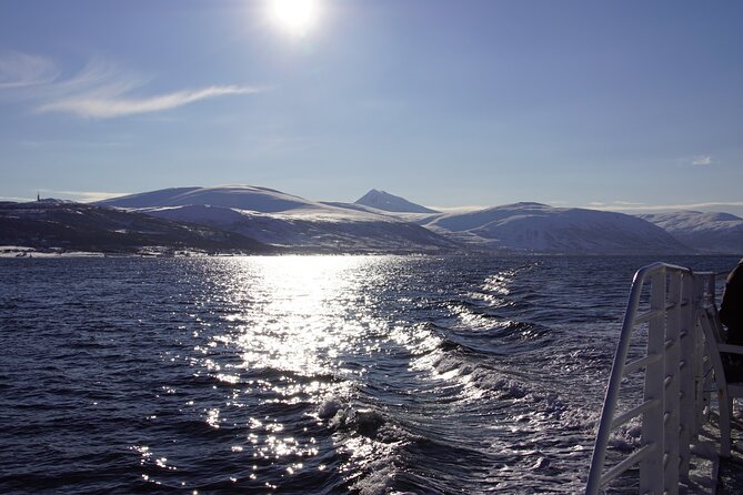 Tromsø: Arctic Fjord Cruise & Fishing Experience - Is $156.08 a fair price?