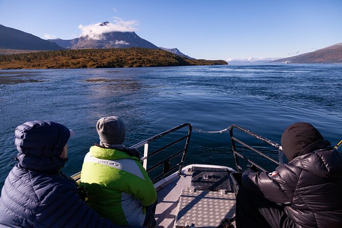 Tromsø: Arctic Fjord Cruise & Fishing Experience - Who will enjoy this Tromsø cruise most?