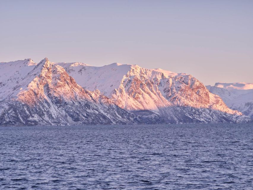Tromsø: Arctic Fjord Cruise in Polar Landscapes - Practical details for a smoother trip