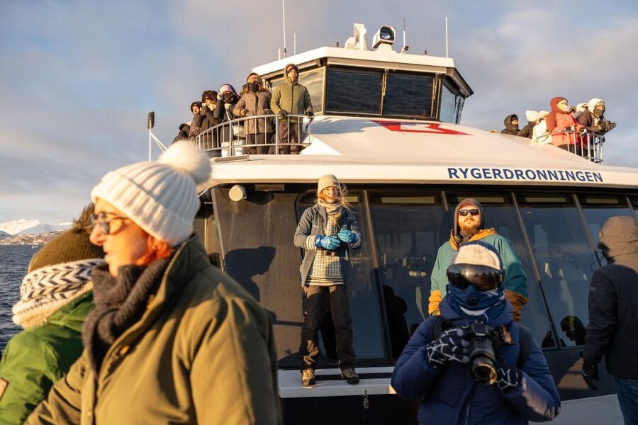 Tromsø: Arctic Fjord Cruise in Polar Landscapes - Sea eagles, seals, foxes, and the wildlife factor