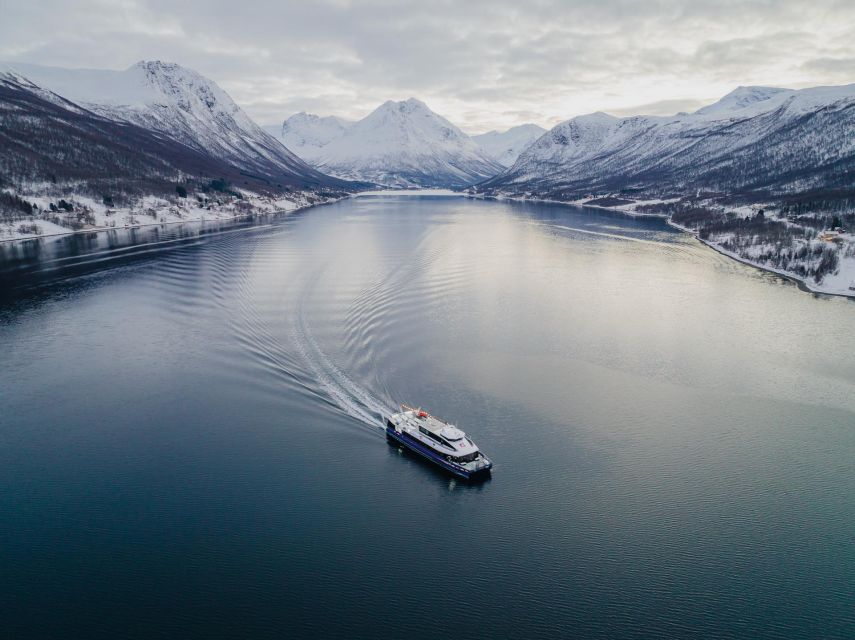 Tromsø: Arctic Fjord Cruise in Polar Landscapes - Photography tips that actually help