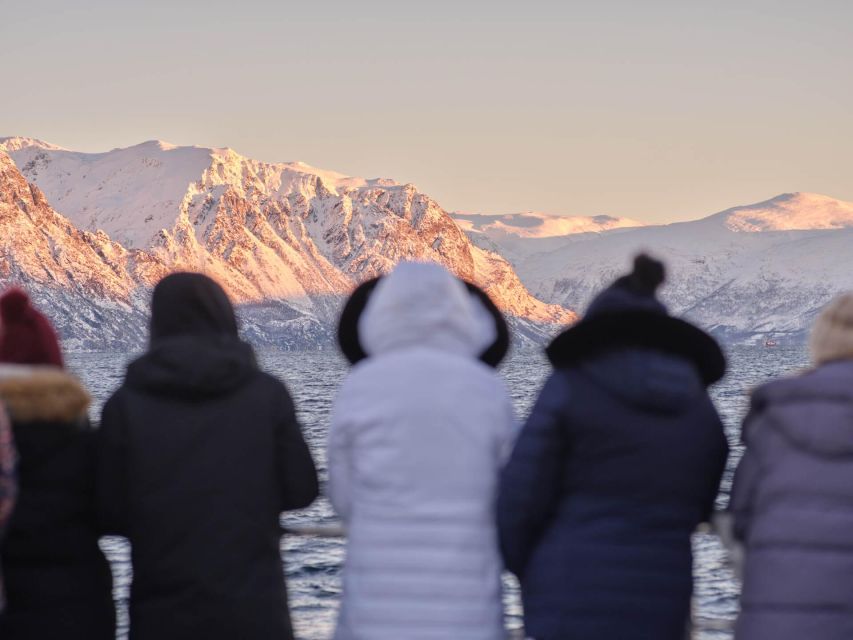 Tromsø: Arctic Fjord Cruise in Polar Landscapes - Who should take this cruise?