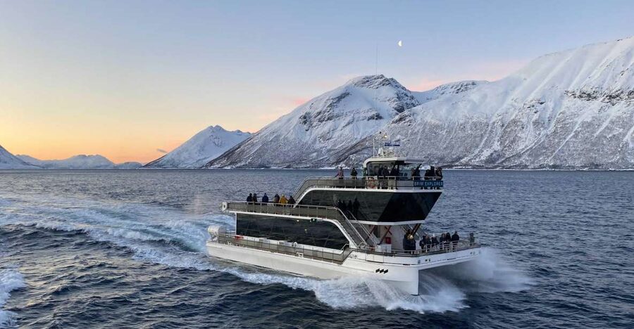 Tromsø: Arctic Fjord Cruise With Stop On Land At Fish Racks - Looking below the surface with the underwater drone
