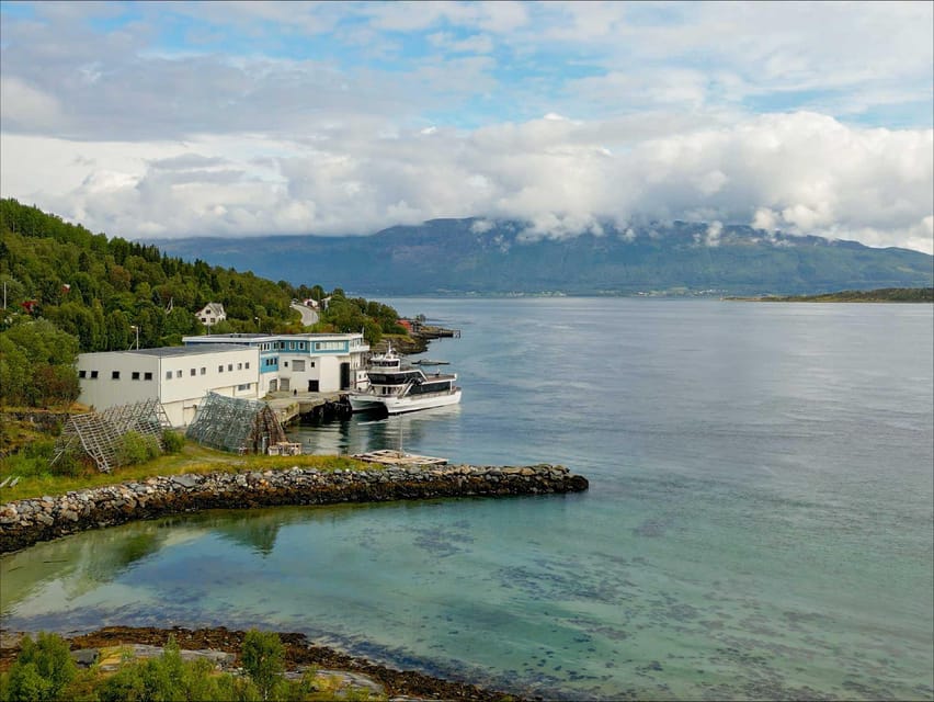 Tromsø: Arctic Fjord Cruise With Stop On Land At Fish Racks - Rystraumen and the working coast