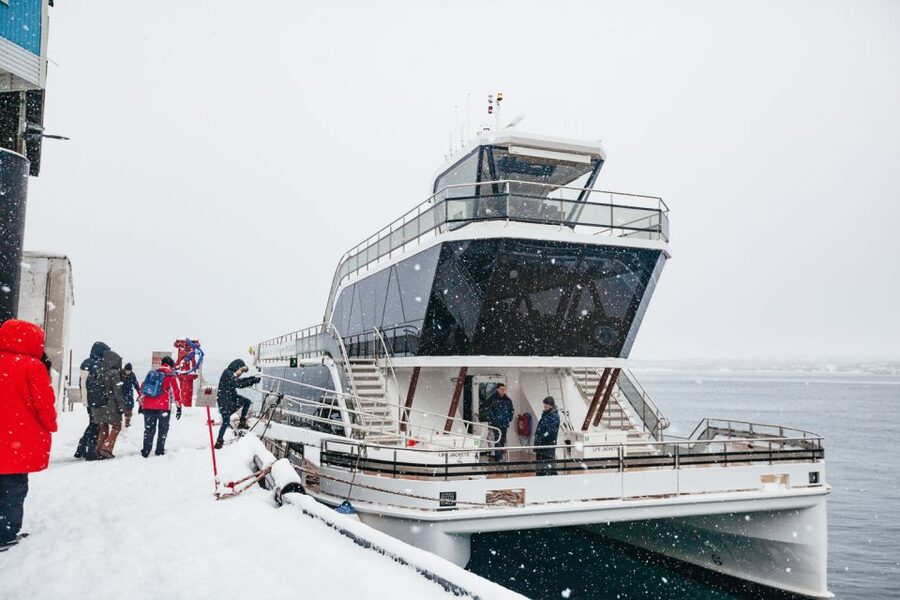 Tromsø: Arctic Fjord Cruise With Stop On Land At Fish Racks - Store Grindøya and the open-water views
