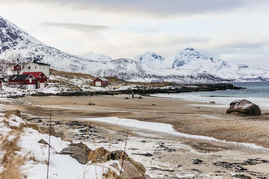 Tromsø: Arctic Landscape and Fjord Tour with Snacks - Key points to know before you book