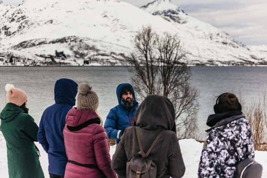 Tromsø: Arctic Landscape and Fjord Tour with Snacks - My verdict on the Tromsø fjord tour
