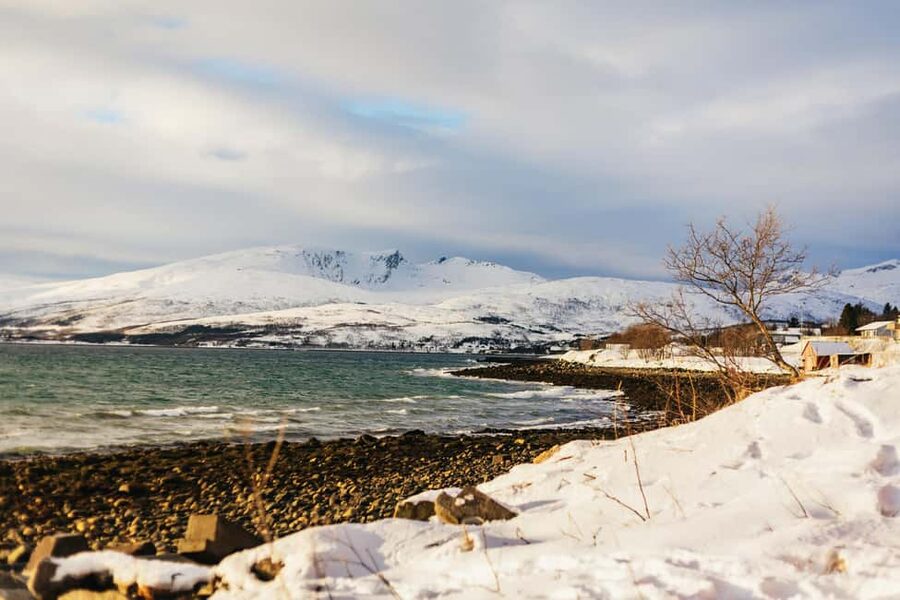 Tromsø: Arctic Landscape and Fjord Tour with Snacks - Grøtfjorden: a short walk and a longer look