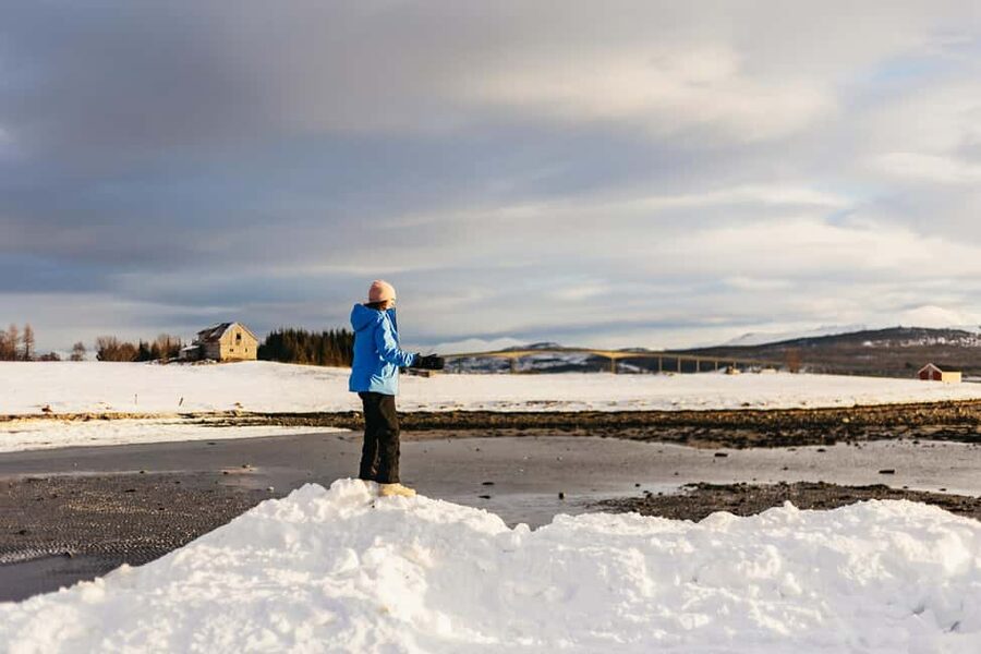 Tromsø: Arctic Landscape and Fjord Tour with Snacks - What the guides add to the experience