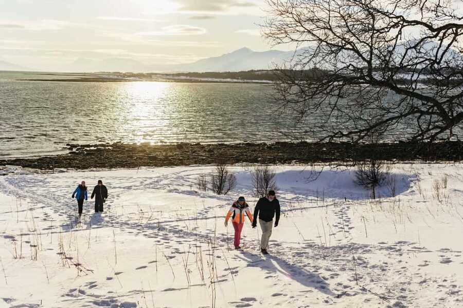 Tromsø: Arctic Landscape and Fjord Tour with Snacks - Is $132 a fair price?