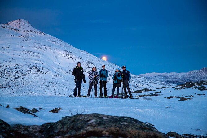 Tromsø: Arctic Landscapes Hiking / Snowshoeing Tour in the wild - Snowshoes, crampons, and the walk to the view