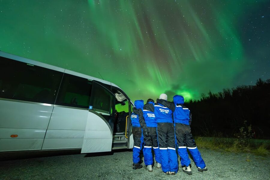 Tromsø: Aurora Borealis, Campfire, Hot Meal, Arctic Tour - A campfire under the Arctic sky