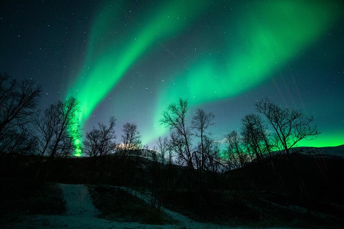 Tromso Aurora Chase by Minibus with Thermal Suit, Snack and Photo - Fire, cocoa, and the long wait