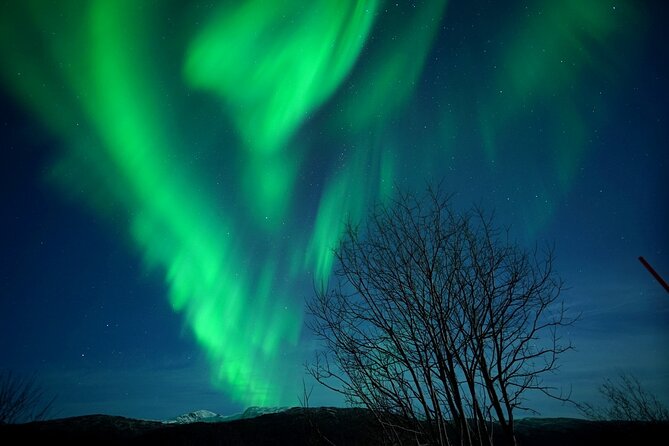 Tromso Aurora Chase by Minibus with Thermal Suit, Snack and Photo - Tromsø departure and the first miles into the Arctic