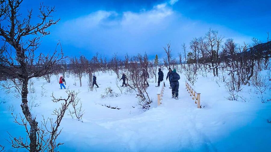 Tromsø: Aurora Crystal Lavvo Overnight Stay with Activities - Is $430 a fair price?